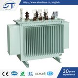 High Voltage 10kv Oil Type Silicon Steel Power Transformer