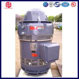 150HP IEC, NEMA Standard Vertical Hollow Shaft Vhs Pump Motor