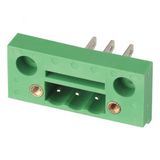 New Style Plug-in Terminal Block (WJ2CDGM-5.0/5.08mm)