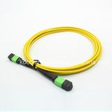 MPO 12cores Fiber Optic Patch-Cord