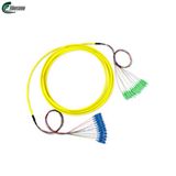 China Sc/Upc-Sc/APC 12 Cores Fiber Optic Patchcord