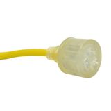 SAA Approved Exension Cord Socket Fitted with LED Light (AL108L)