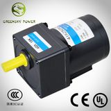 AC Single-Phase for Car Application 25W 80mm Induction Gear Motor