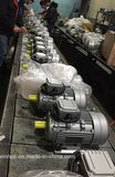 Ie2 (CE) Ms Alu Housing Three-Phase Induction Motor (MS160M-4)