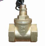 Brass Material Piston Type Flow Switch