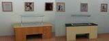 Buffet Counter