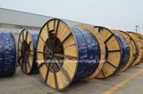 XLPE Insulated Stranded Copper Muilti Core Electric Cable
