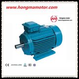 High Efficiency Squirrel-Cage NEMA Motor (449T-6-250HP)