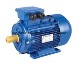 Ce Approved Ye2 Series High Efficiency Cast Iron Motor