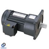 Light Duty Vertical 3 Phase High Ratio Brake Gear Electric Motor -E