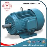 3/4-270HP Tefc-IP55 Three Phase AC Motor