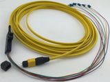 Mu Fiber Optic Patch Cord