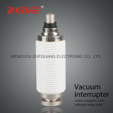 Zn28 Vs1 Vacuum Interrupter for Td 1250/12-20