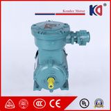 Yb3 Series Ex-Proof Electric Motor with High Quality