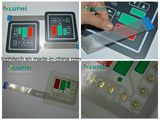 Gold Plated Domes Membrane Switch (MIC-0024)