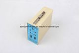SD-W300 Temperature and Humidity Controller