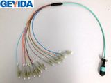 MPO Harness & Fanout Cable Assemblies (MPO)