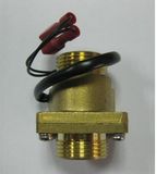 Flow Switch