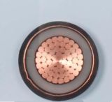 Single Core XLPE Insulated Copper Tape Screened 22kv Power Cable