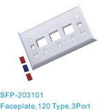 120 Type, 3 Port, Faceplate