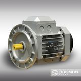 High Quality AC Motor Made in China