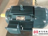 Hmy Series Cast-Iron Housing Three Phase Asynchronous Induction Motor