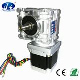 Small Worm Gear Stepper Motor