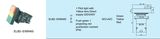 High Quality Pushbutton Switch (ELB2-EW8475)