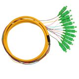 Sc/APC Distribution Bundle Multi Cores 12 Fibers Pigtail
