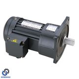 3-Phase High Ratio Small AC Reduction Motor_D