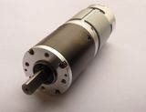 36mm 12V 24V DC Motor