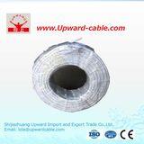 Copper Conductor PVC Insulated 450/750V Electric/Electrical Wire