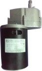 High Voltage R80 DC Gear Motor