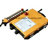 Low Voltage Heavy Duty Radio Remote Control F21-20s for Overhead Crane Grab