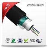 Outdoor GYXTW Central Tube Steel Wires Armored Fiber Optic Cable