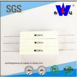 Rx27-1 Type Ceramic Encased Resistor 20W 1K