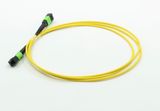 MTP MPO Optical Fiber Patch Lead