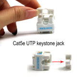 Wonterm UTP Cat5e Ethernet Keystone RJ45 Keystone Jack Connector for Wall Plate White