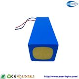 Lithium Battery Pack 60V 20ah for E-Motor/ E- Scooter