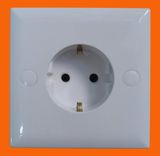 250V Rated Voltage and Residential / General-Purpose Application Wall Socket (F1010)