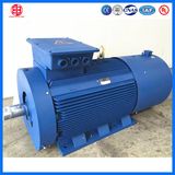 Y2vp, Yvp Series Three Phase Asynchronous Frequency Conversion Motor