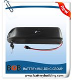 36V 14.5ah Hl01 Samsung Battery Pack for E-Bike