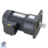 Vertical Small AC Motor High Ratio 3 Phase -E