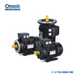 Ms 380V/660V B3 B5 Three Phase Asynchronous Motor
