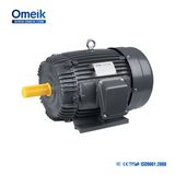 Aeef Three Phase Induction Motor
