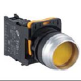 22mm High Flat Push Button Switch with Light