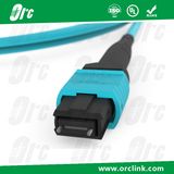 8f/12f/24f MPO/MTP Patchcord Jumper Optical Fiber Connector Om3 Ofnp 10 Meters