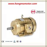GOST Standard Three-Phase Asynchronous Motor