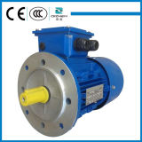 MS Series Three Phase Motor with High Quality
