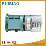 Hoist Motor Construction Hoist Spare Parts Mini Motor